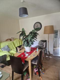 House share roomshare - Thamesmead - 6