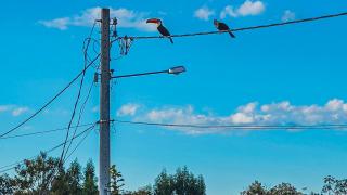 Suítes Raízes Nômades 2 - 6