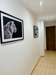 Apartment 5 minutes from airport and beach - El Altet - 2