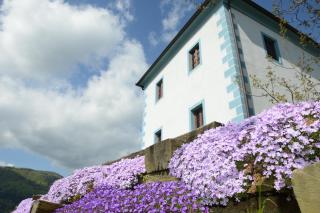 Wine Grower's Mansion Zlati Gric - Slovenske Konjice - 5