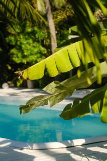 Pousada Pais Tropical - 7