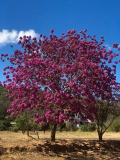 El Rincón de Nukuri - Samaipata - 6