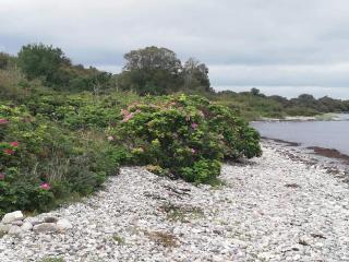 5 person holiday home in Aabenraa-By Traum - 5