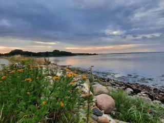 4 star holiday home in Haderslev - 3