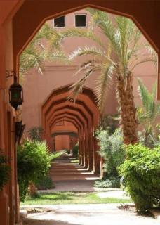 Très bel Riad avec piscine au cœur de Marrakech - 0