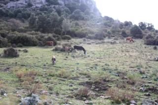B&B Supramonte - Orgosolo - 5
