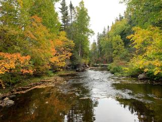 Rocky Brook Acres, Andy - 5