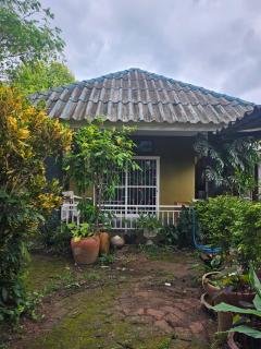 Green House - 4
