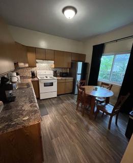 Stylish Sanctuary Near EMU- Ideal for Med Students apts - Ypsilanti - 6