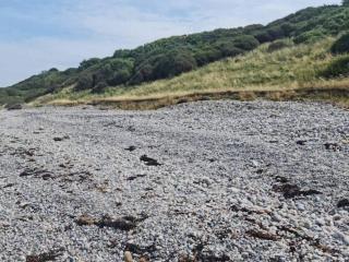 Tranquil Retreat at Overby Lyng-By Traum - 5