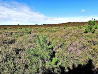 6 person holiday home in Henne-By Traum - 2