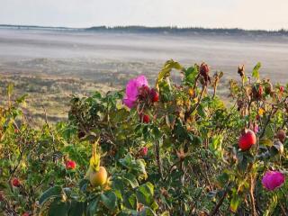 6 person holiday home in Henne-By Traum - 3