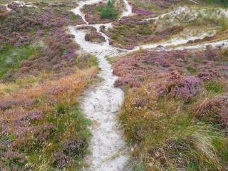 6 person holiday home in Henne-By Traum - 4