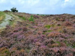 6 person holiday home in Henne-By Traum - 1