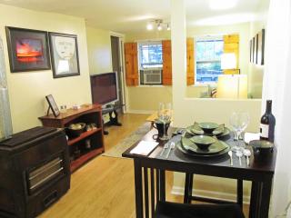 Cozy Vintage Chicago Apartment near Downtown - 7