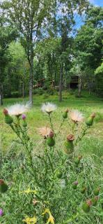 Piedmont Grove Lodging - 7