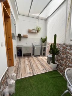 Acogedor full de Plantas - 7