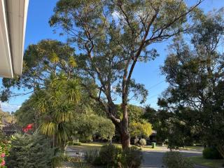 Hilltop Haven - 1