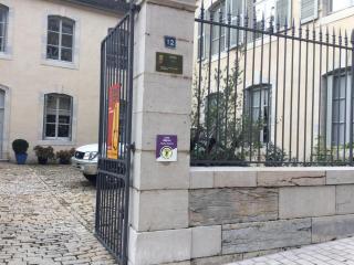 Appartement charmant au cœur de Vesoul avec parking privé - FR-1-583-509 - 8