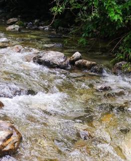 Gangneung Demuir Caravan - 4