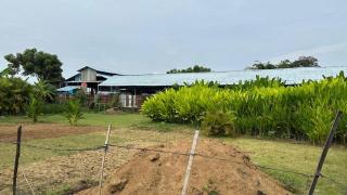 Villa Sachi - NEW SPACIOUS 2 BEDROOM VILLA NEAR SANUR - 4