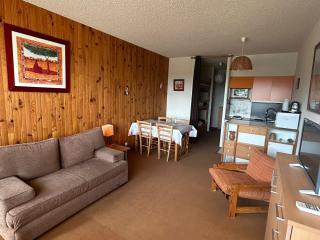 Studio central, accès pistes, vue lac, parking - FR-1-814-114 - 9