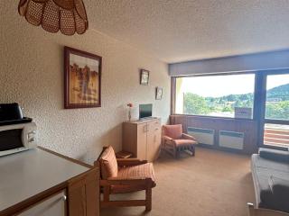 Studio central, accès pistes, vue lac, parking - FR-1-814-114 - 6