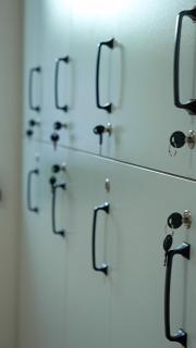 Blissvale - Celebrations Galore - 7