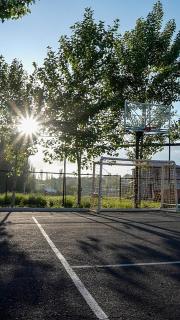 Blissvale - Celebrations Galore - 4