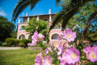 Dominoes Corfu - Ipsos - 7
