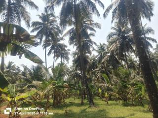 Veeru River Front Nature Homestay Honnavar - 3