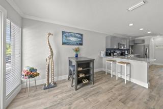 Minorga Sand Dollar on the Key - 3