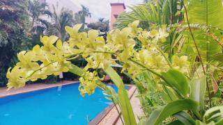 Kouprey Hotel - 0