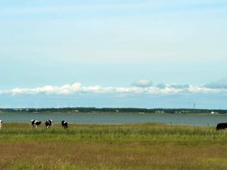8 person holiday home in Blåvand - Ho - 7