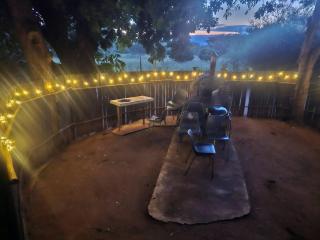 The Bushveld Jasmine - 4