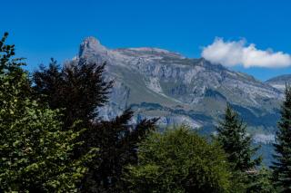 L'Alpinéa Proche Biotope et Centre ville - 9