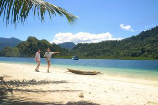 Sumatra Ecolodge - Sungaipisang - 0