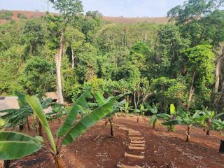 Twelve107 Farmstay - 5