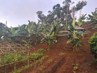 Twelve107 Farmstay - 3
