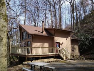 Shady Woods Retreat 3BR Chalet - 9