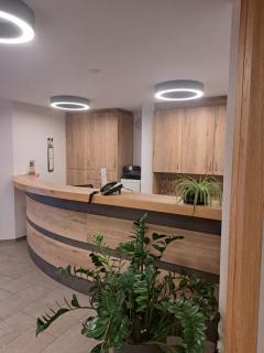 Hotel Gasthof Schützen GbR - Laupheim - 5