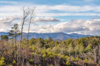 25 min Blue Rdg Pkwy/Games/Fire Pit/Hot Tub/Sauna - 8
