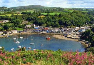Fabulous accommodation in the heart of Fishguard - Fishguard - 3