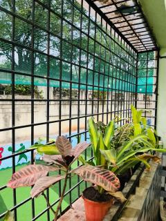 Urban Oasis - 1