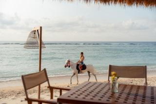 Cocana Resort Gili Trawangan - 4