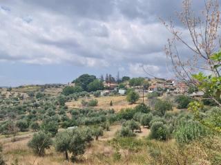 Lithèa House - 5