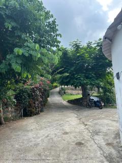 Varda farmstay - 8
