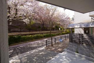 Osaka - House - Vacation STAY 16453 - 4
