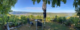 Apartment an der Mosel 2 - 9