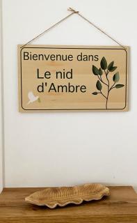 Le nid d'Ambre - 8